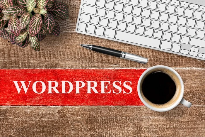 Waarom bedrijven kiezen voor een WordPress webshop