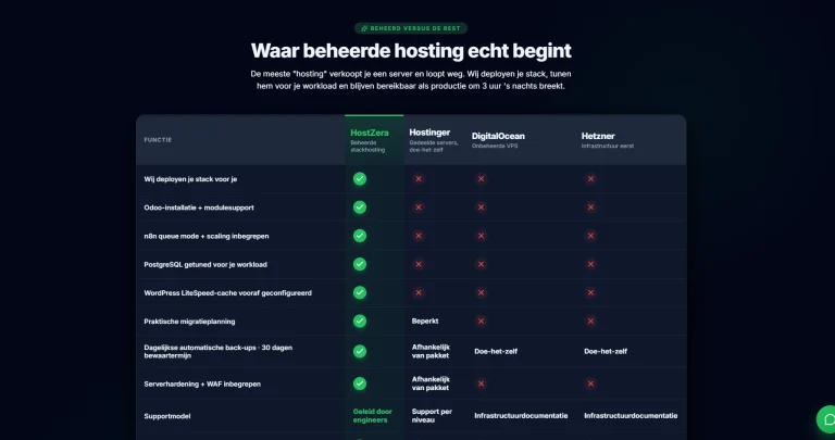Why Website Hosting Netherlands is the Gold Standard for Your Business